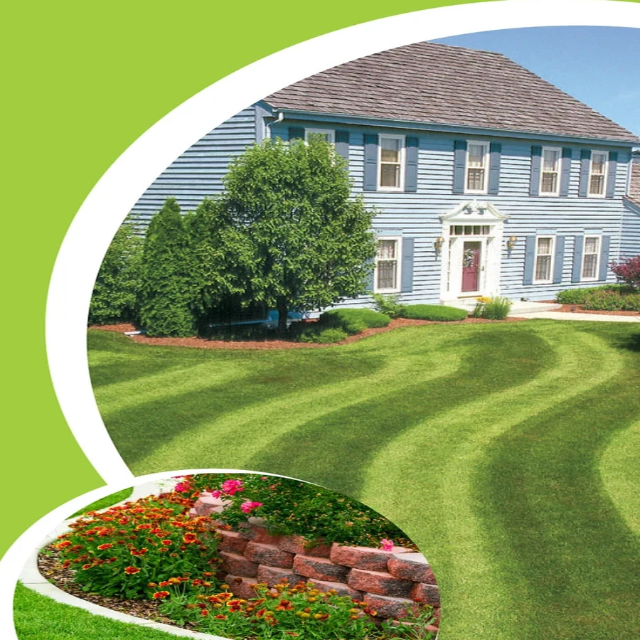 Freshly maintained lawn and landscaped home